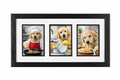 Three-Photo Pet Portrait (5×7)